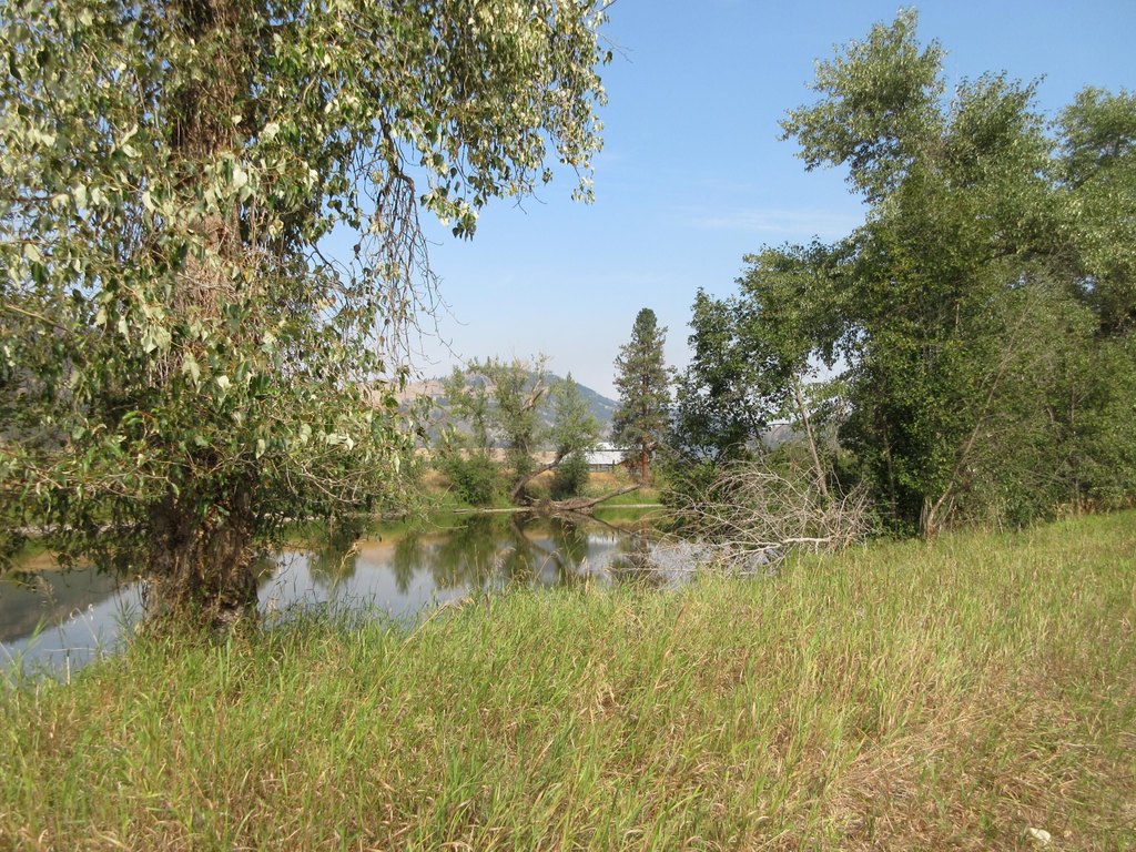 Picture 13