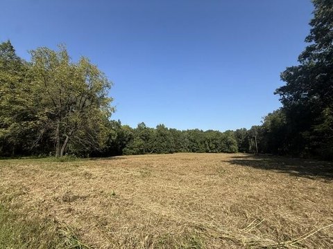 Land, SPRINGVILLE, TN