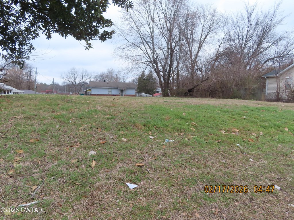 Picture 8