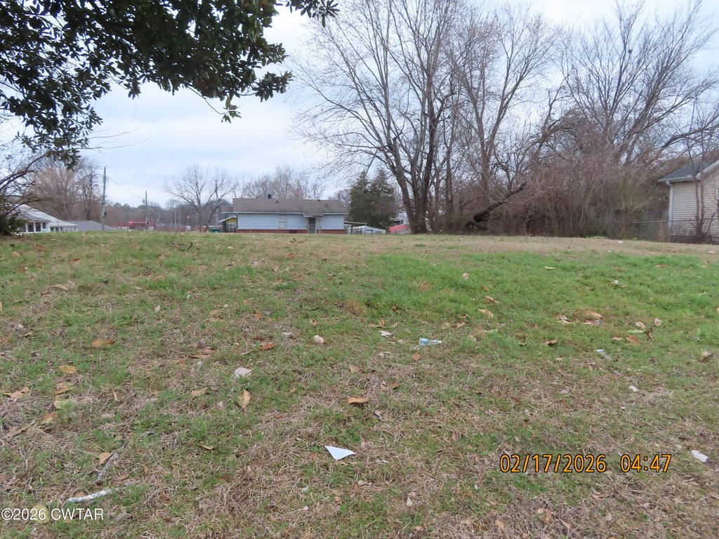 Picture 7