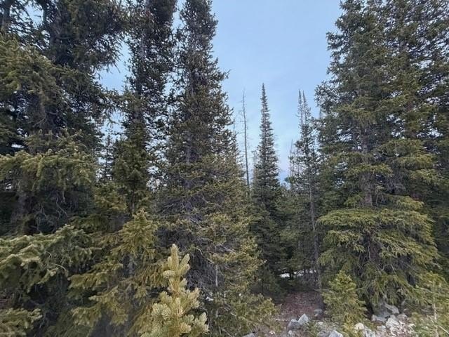 One-Acre Wooded Lot Near Breckenridge