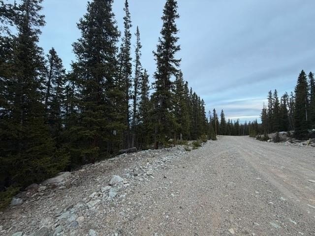 Picture 9