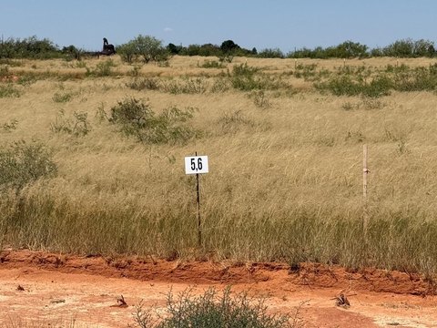 Land For Sale, Andrews, TX