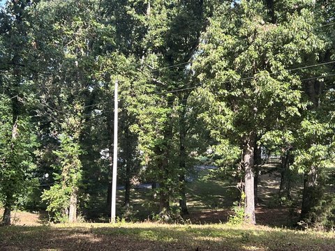 Land, Mammoth Spring, AR