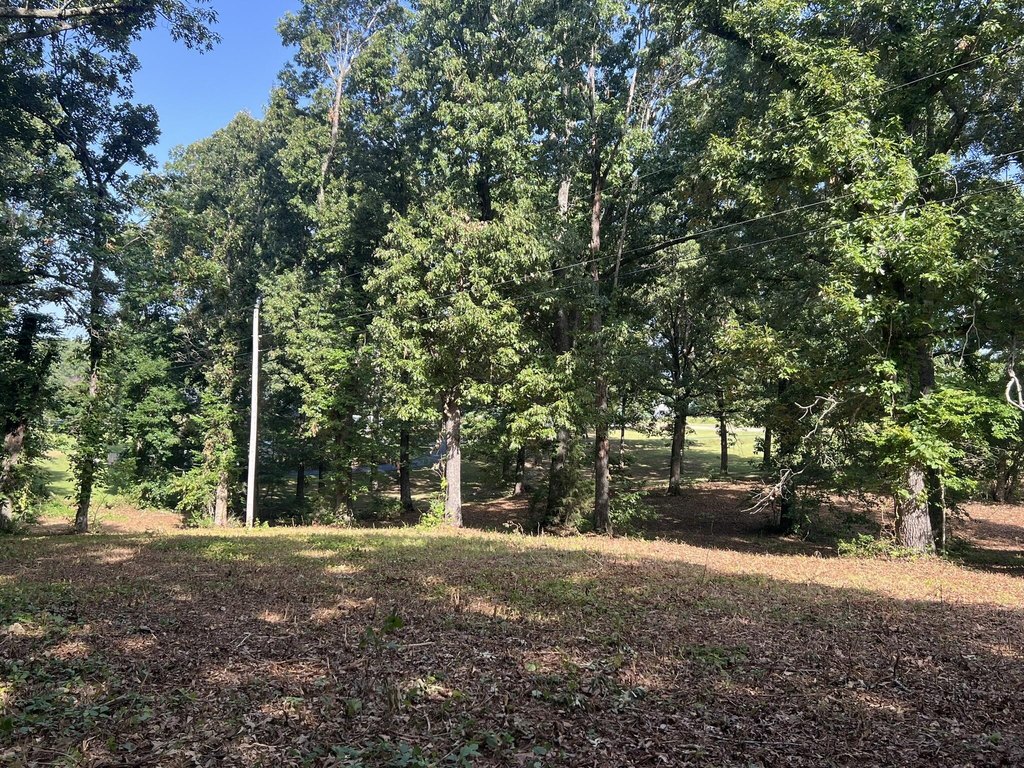 Picture 16