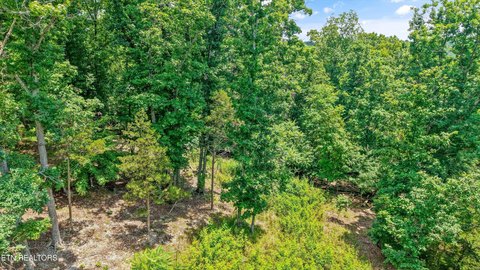 LAND - Kingston, TN