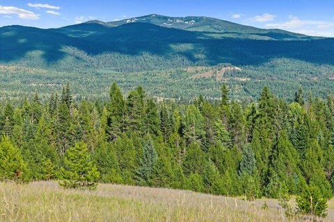 Land with Septic System Installed