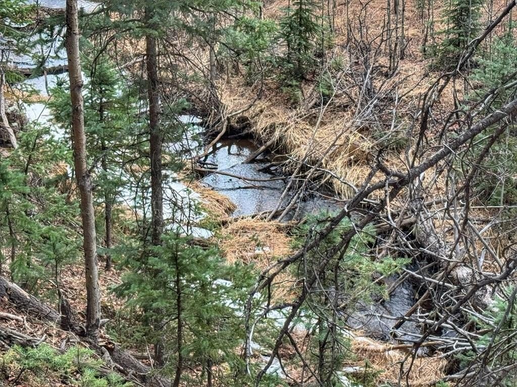 Land Near Lake Isabel
