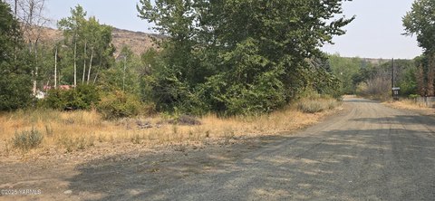 Tranquil Mountain Lot in Yakima