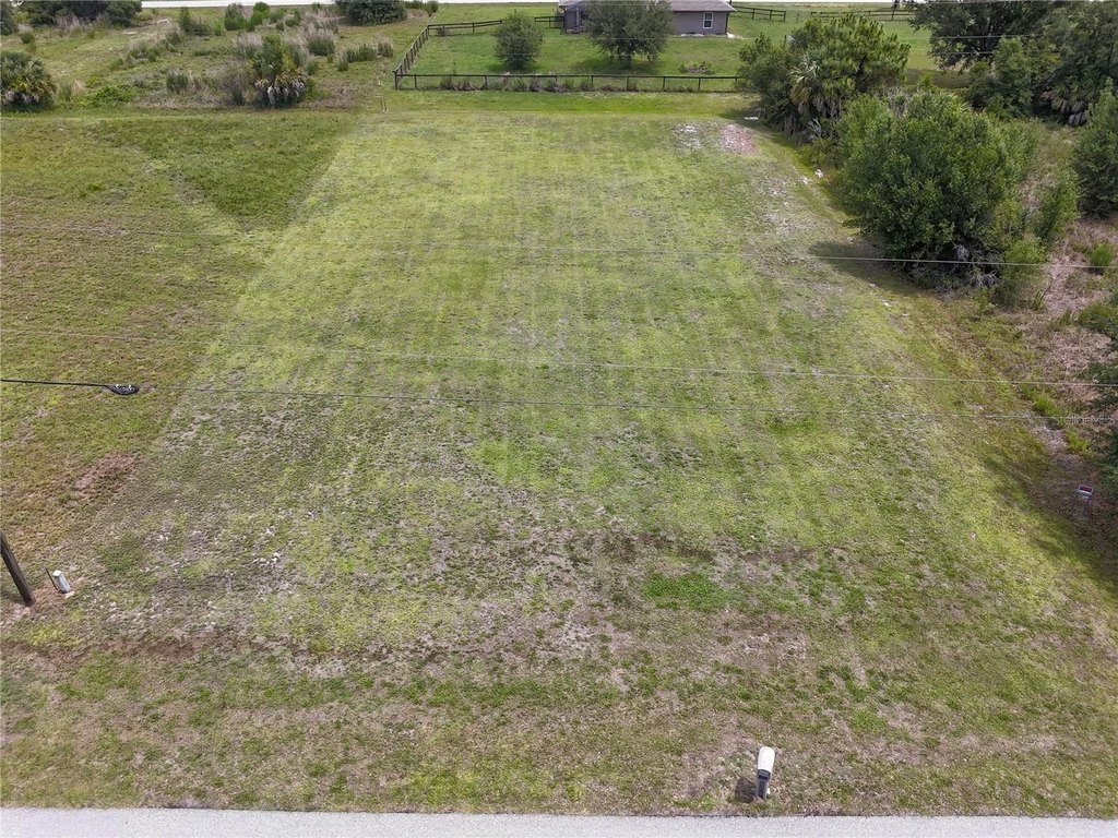 Picture 15