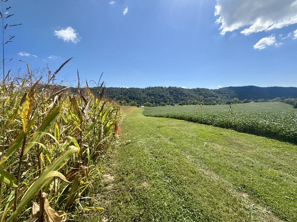 Picture 6