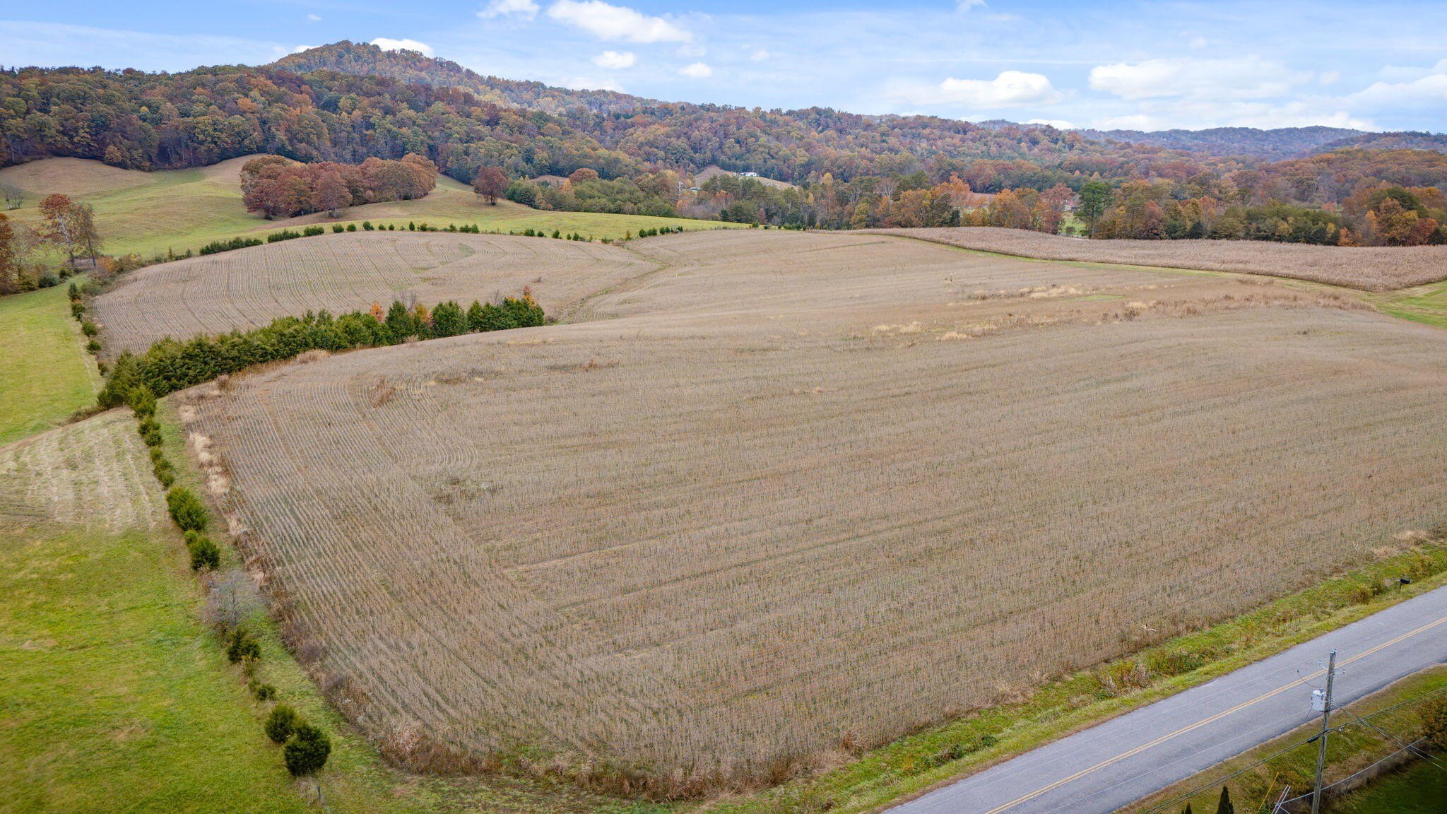 20 Acres of Rural Land