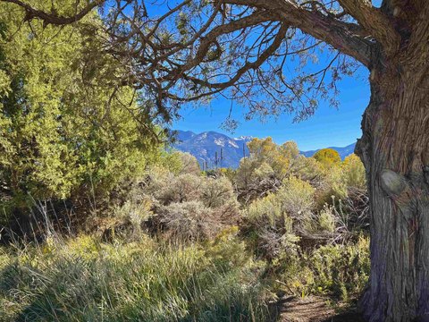 Land, El Prado, NM