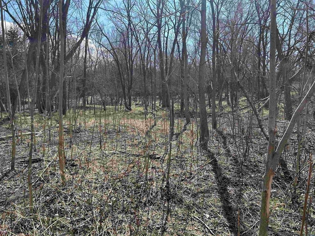 Picture 3