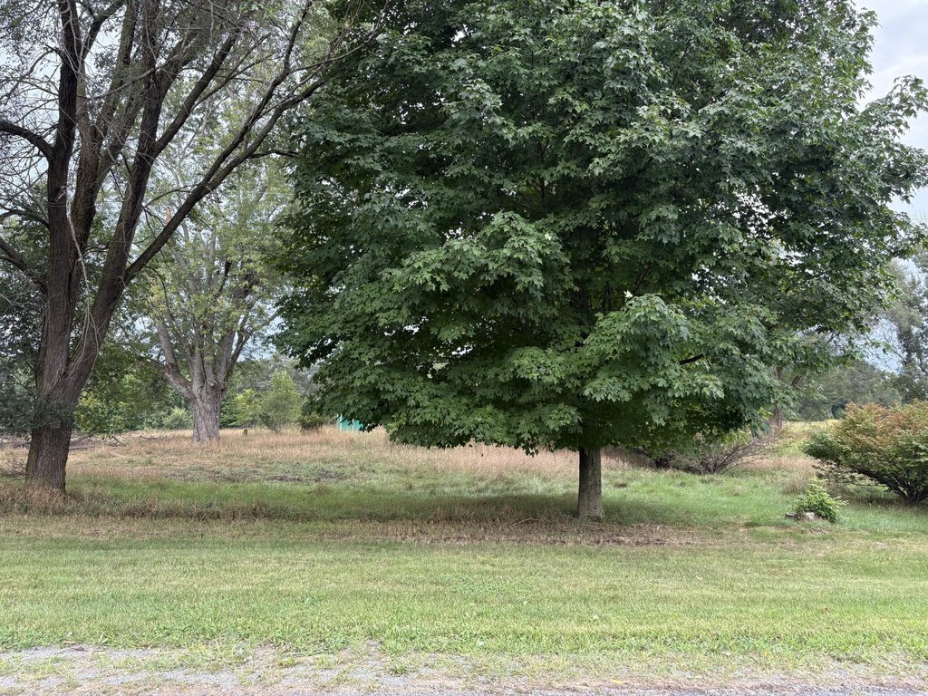 Picture 3