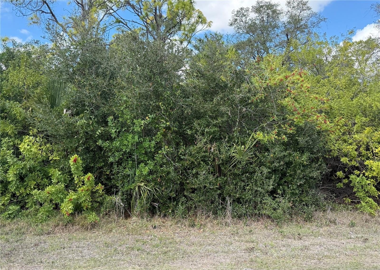 Waterfront Land on Myakka River