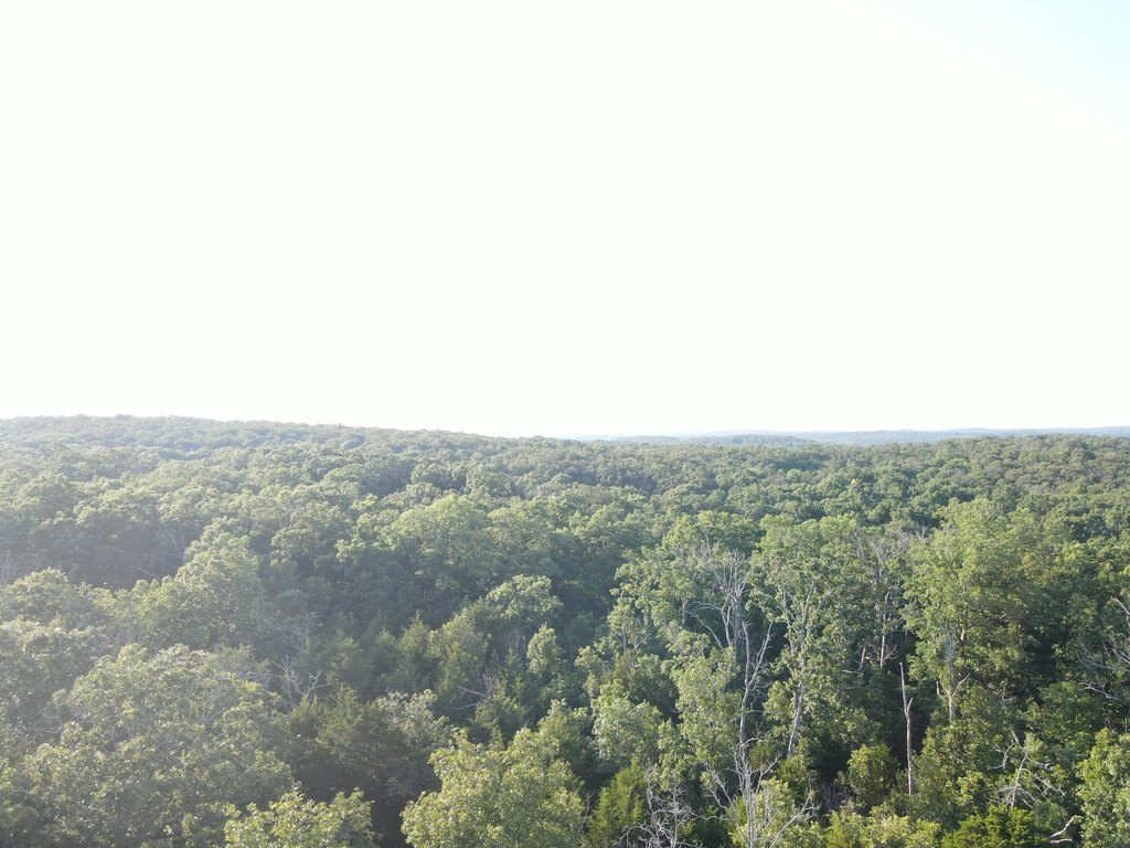 Picture 25