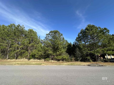 Residential Building Lot