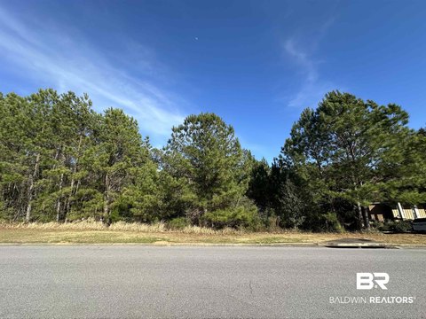 Residential Building Lot