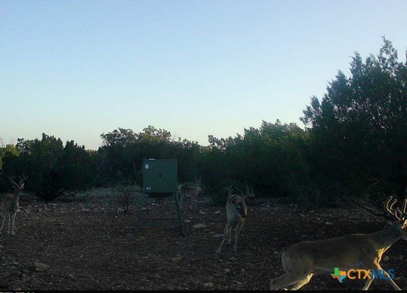 Picture 38