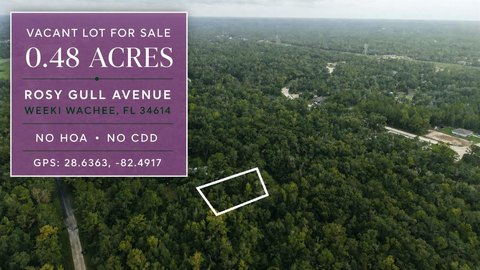 Land, WEEKI WACHEE, FL