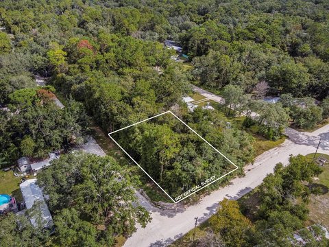Wooded Lot in Old Town