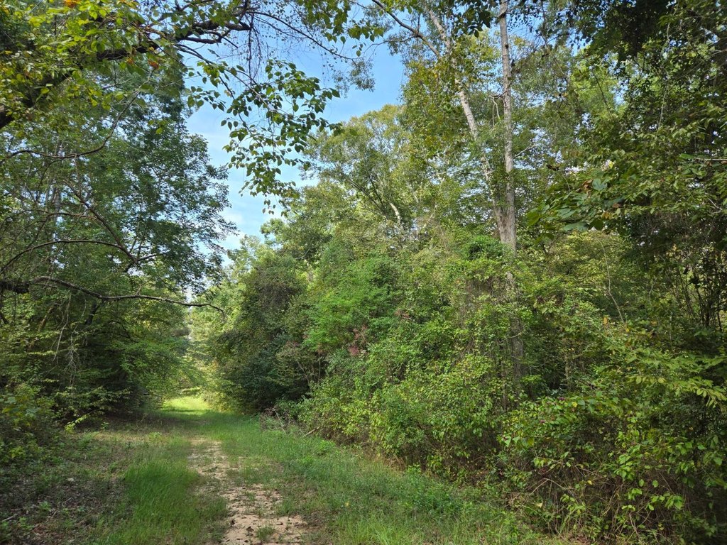 Picture 8
