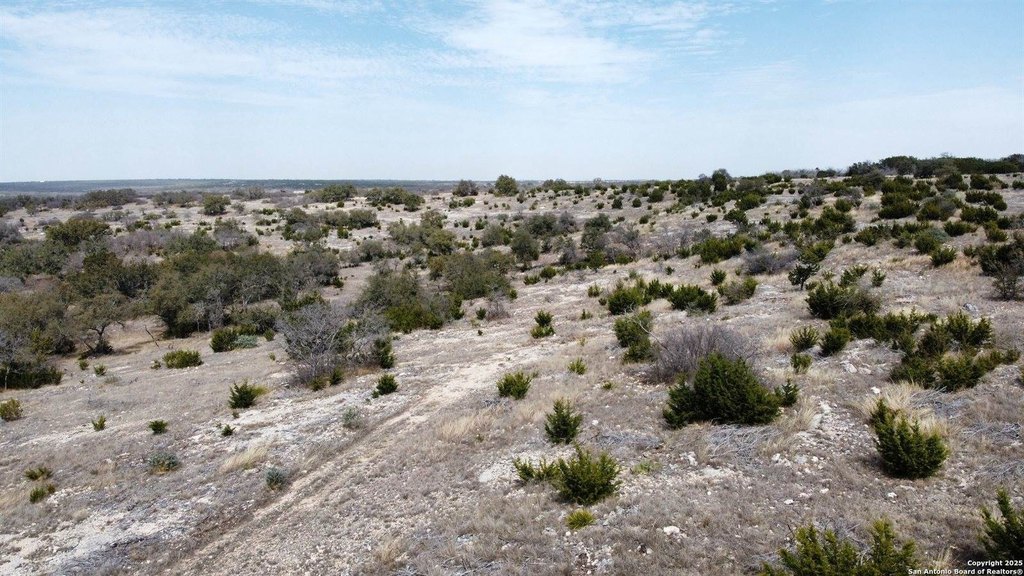 Picture 31