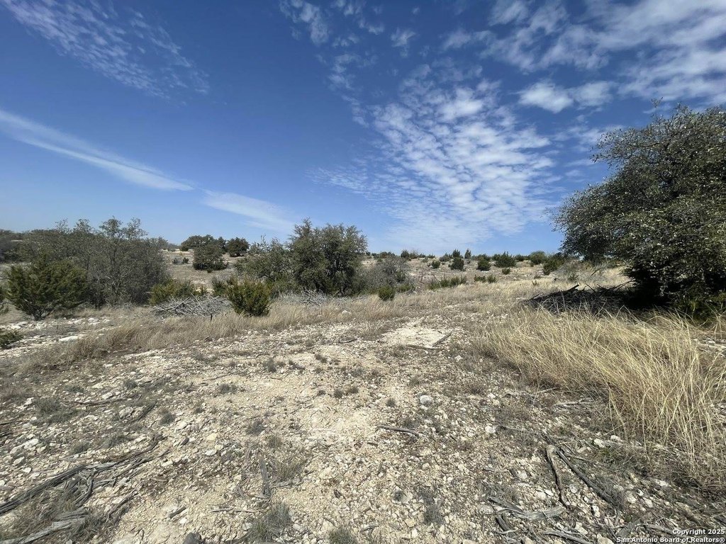 Picture 35