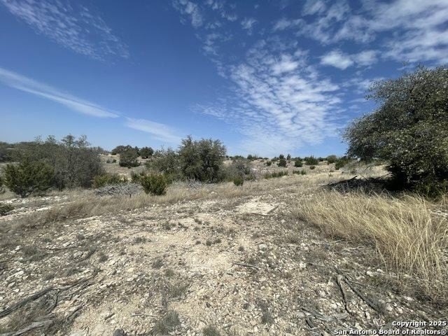 Picture 35