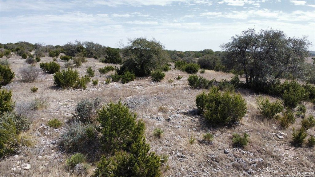 Picture 30