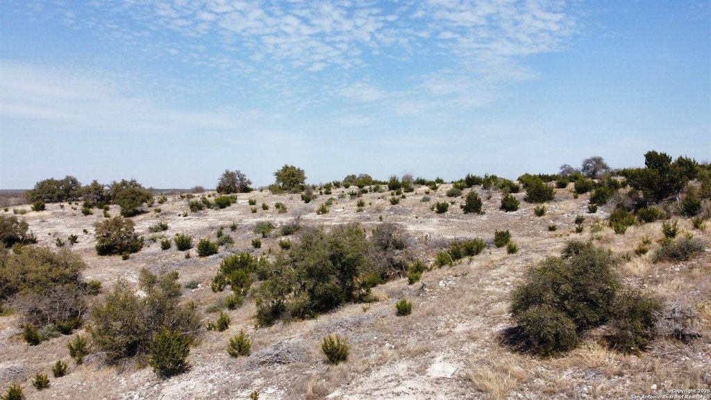 Picture 25