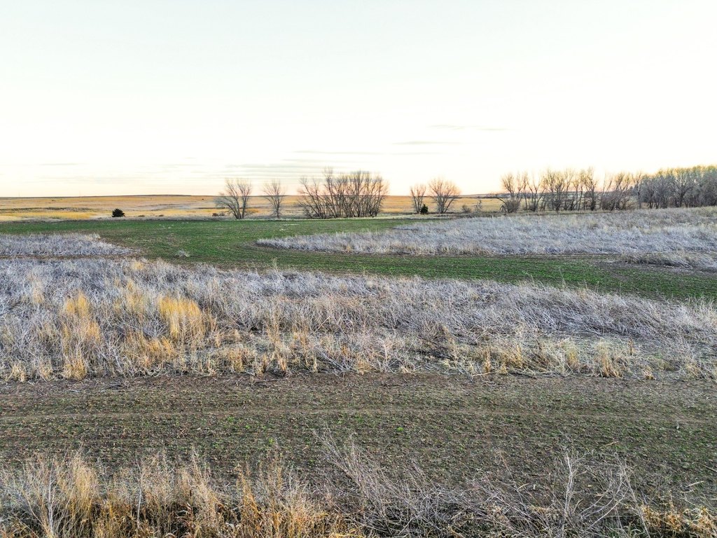 Picture 13
