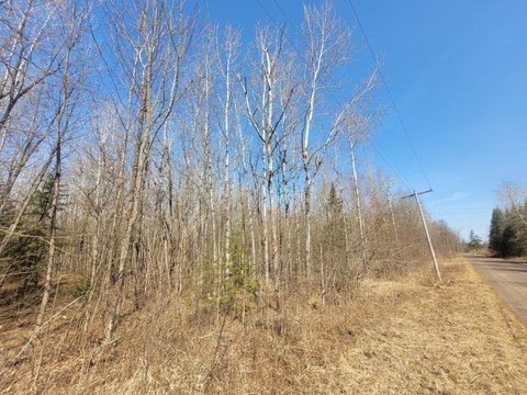 Recreational Timberland Near Loretta