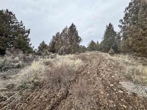 Land, Sprague River, OR