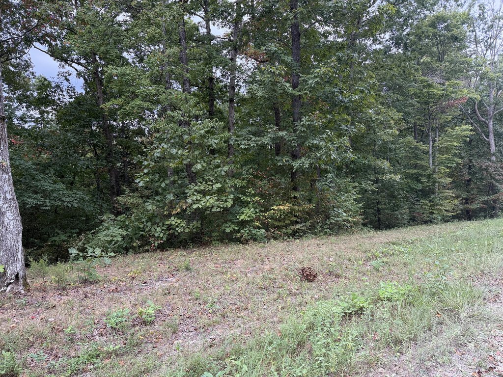 Picture 3