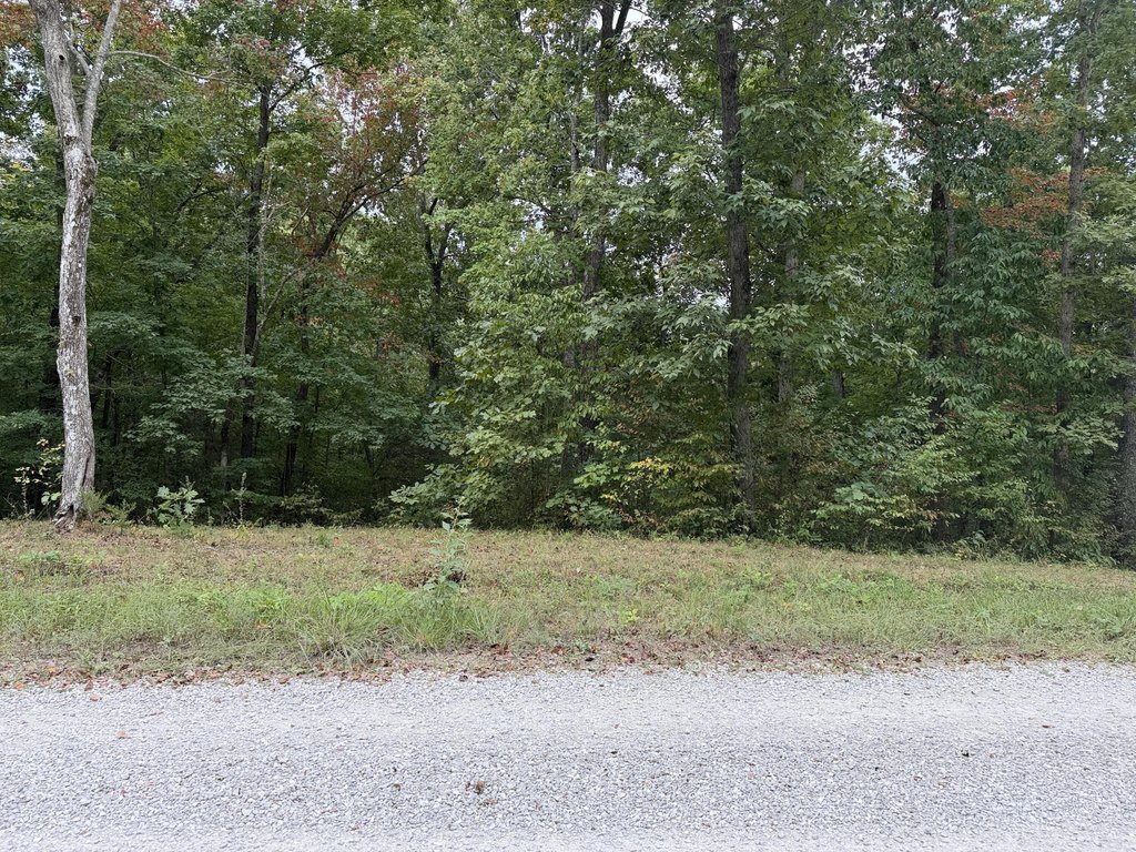Picture 4