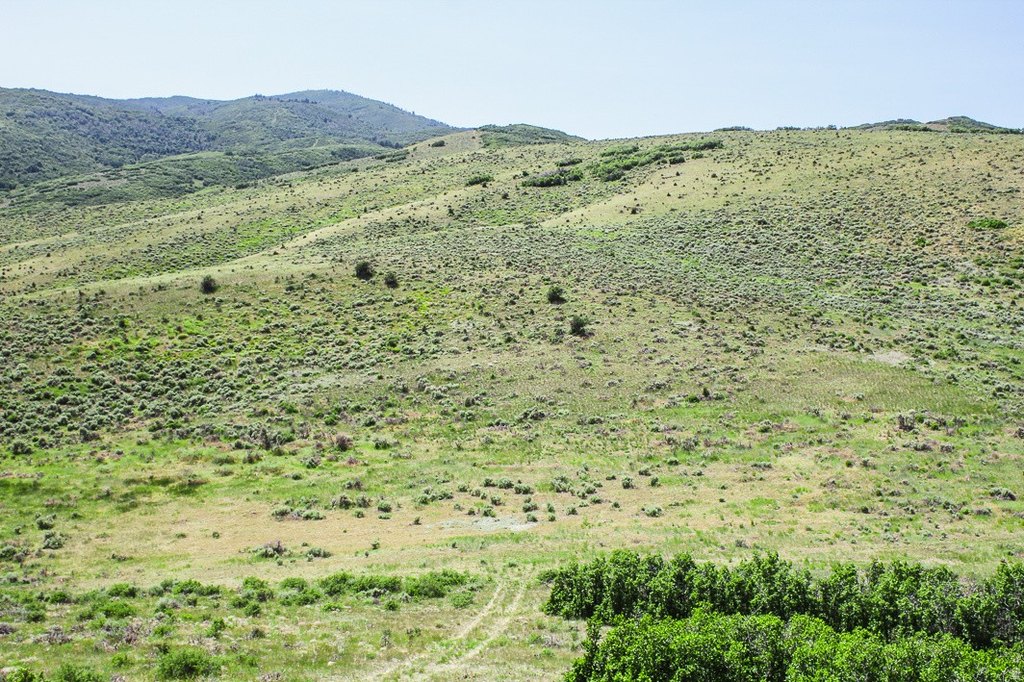 Picture 12