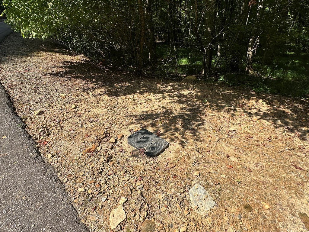 Picture 10
