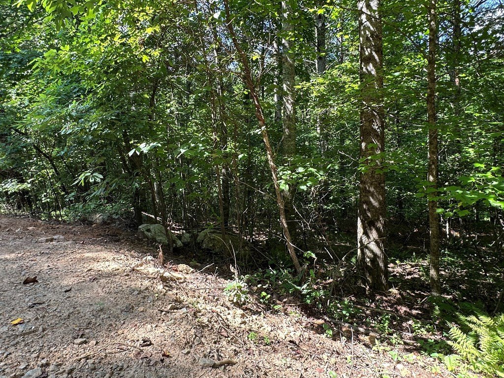 Picture 18