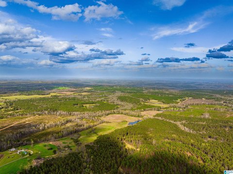 Maplesville Acreage with Buildable Homesite