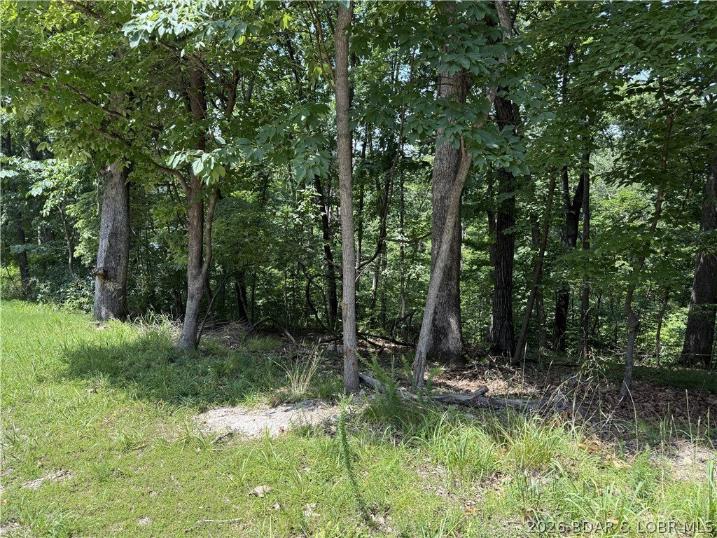 Picture 3