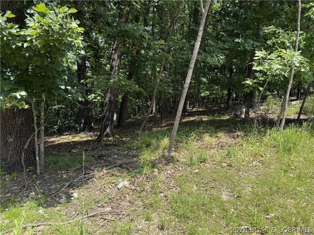 Picture 5