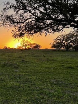 Rural Acreage with Fenced Access