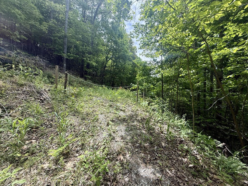 Picture 25