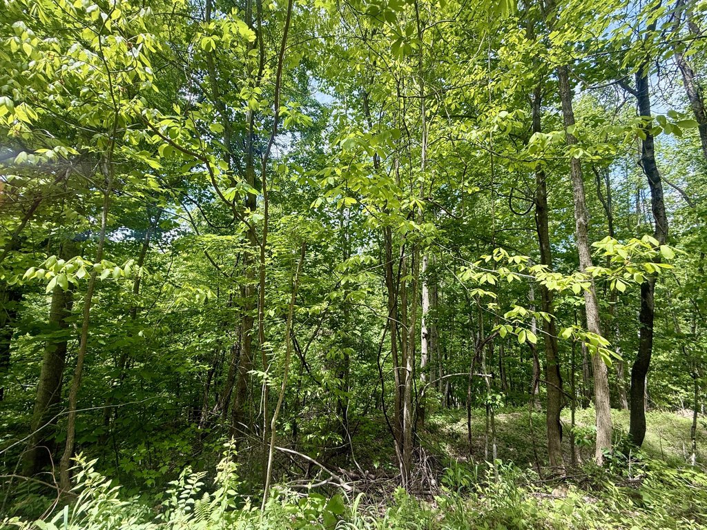 Picture 22