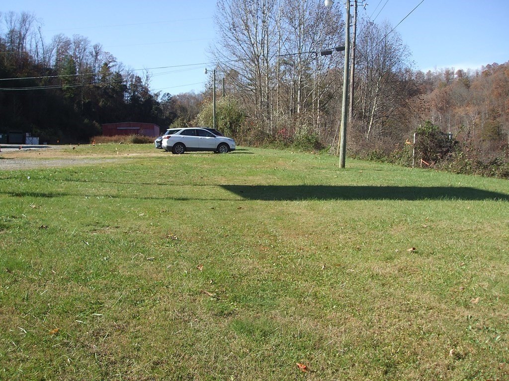 Picture 7