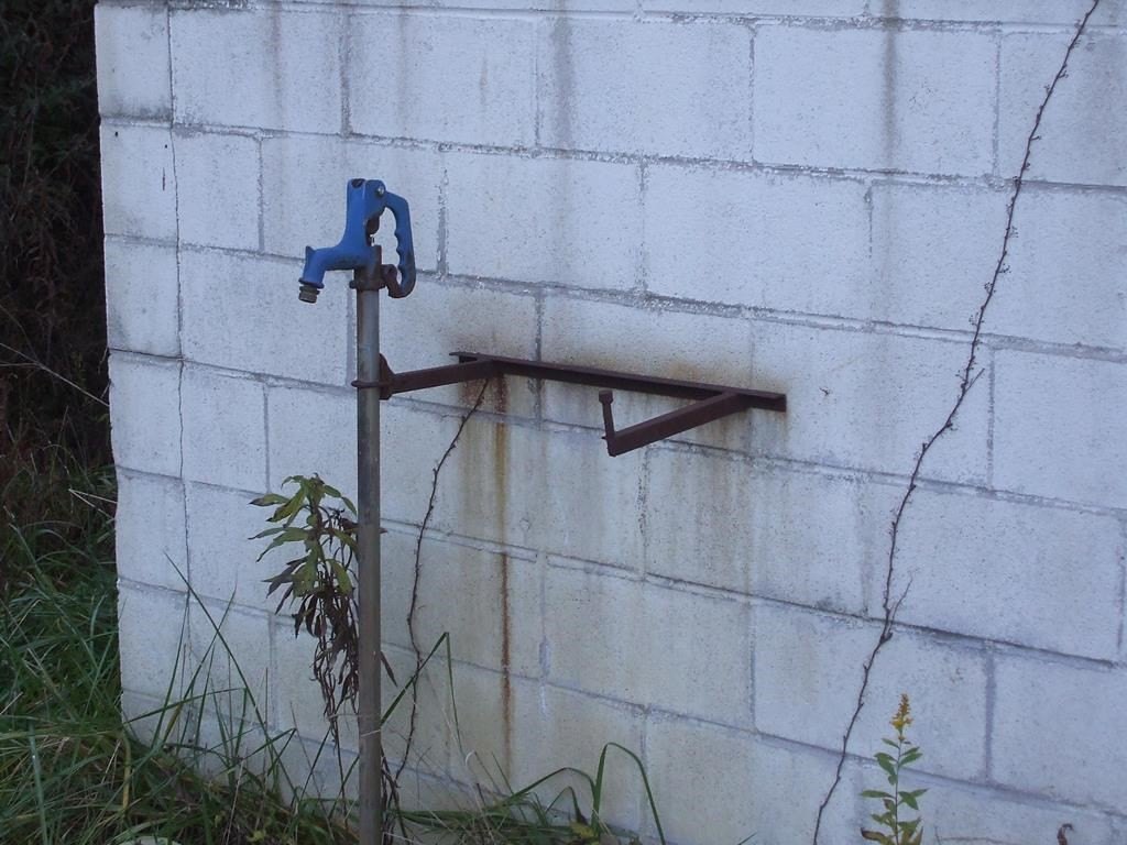 Picture 5