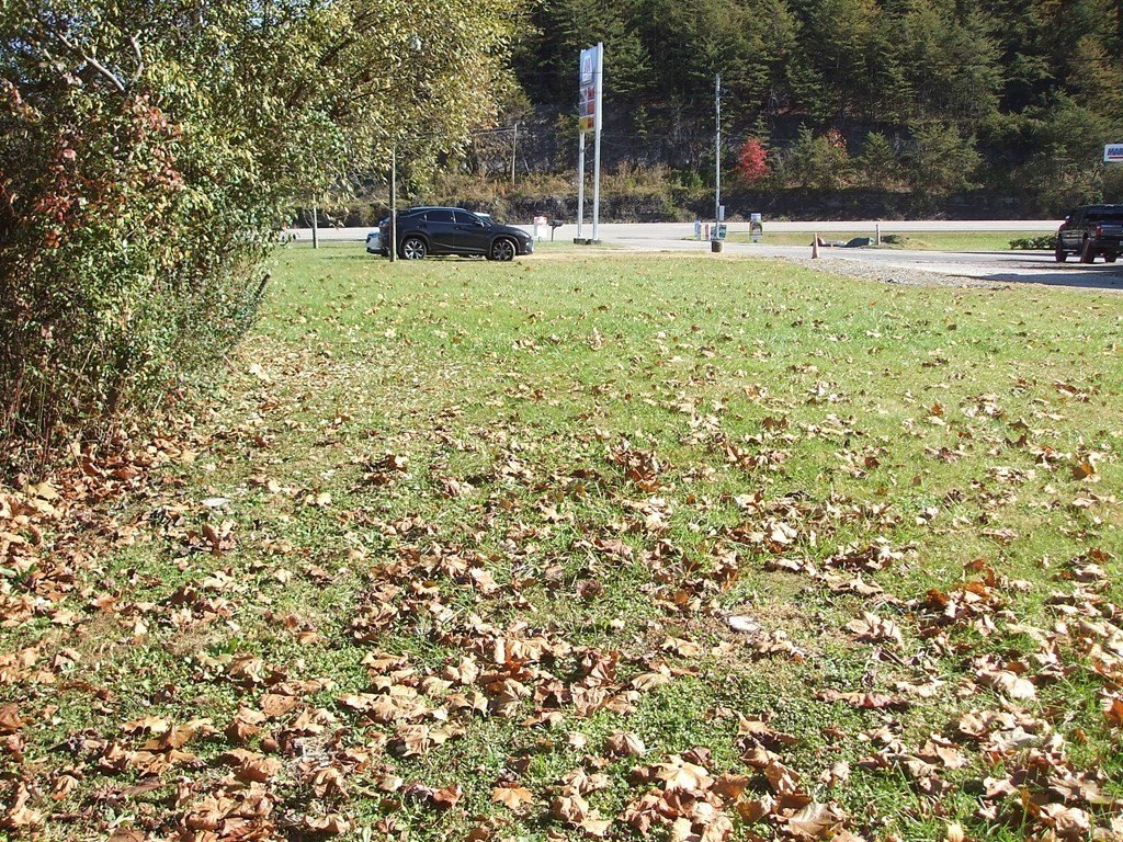 Picture 6
