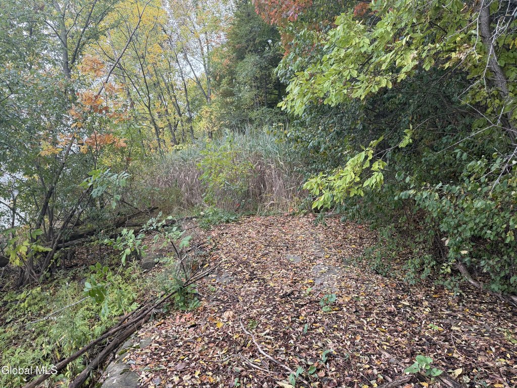 Picture 7
